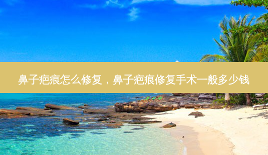鼻子疤痕怎么修复,鼻子疤痕修复手术一般多少钱-第1张图片-美呗严选网 鼻子疤痕怎么修复,鼻子疤痕修复手术一般多少钱-第1张图片-美呗严选网