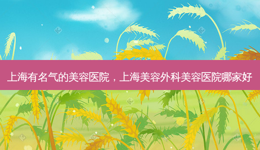 上海有名气的美容医院,上海美容外科美容医院哪家好-第1张图片-美呗严选网 上海有名气的美容医院,上海美容外科美容医院哪家好-第1张图片-美呗严选网
