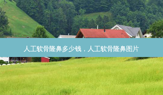 人工软骨隆鼻多少钱,人工软骨隆鼻图片-第1张图片-美呗严选网 人工软骨隆鼻多少钱,人工软骨隆鼻图片-第1张图片-美呗严选网
