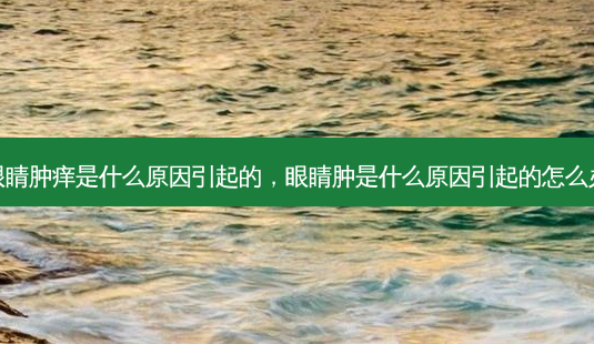眼睛肿痒是什么原因引起的,眼睛肿是什么原因引起的怎么办-第1张图片-美呗严选网 眼睛肿痒是什么原因引起的,眼睛肿是什么原因引起的怎么办-第1张图片-美呗严选网