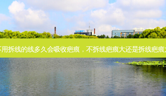 不用拆线的线多久会吸收疤痕,不拆线疤痕大还是拆线疤痕大-第1张图片-美呗严选网 不用拆线的线多久会吸收疤痕,不拆线疤痕大还是拆线疤痕大-第1张图片-美呗严选网