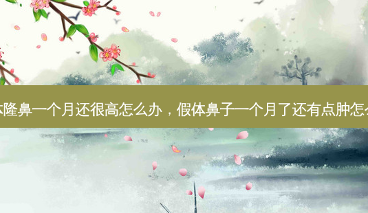 假体隆鼻一个月还很高怎么办,假体鼻子一个月了还有点肿怎么办-第1张图片-美呗严选网 假体隆鼻一个月还很高怎么办,假体鼻子一个月了还有点肿怎么办-第1张图片-美呗严选网