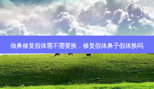 做鼻修复假体需不需要换,修复假体鼻子假体换吗-第1张图片-美呗严选网 做鼻修复假体需不需要换,修复假体鼻子假体换吗-第1张图片-美呗严选网