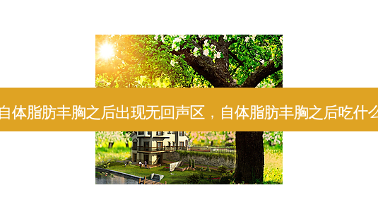 自体脂肪丰胸之后出现无回声区,自体脂肪丰胸之后吃什么-第1张图片-美呗严选网 自体脂肪丰胸之后出现无回声区,自体脂肪丰胸之后吃什么-第1张图片-美呗严选网
