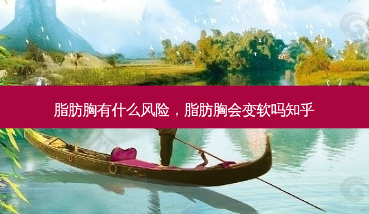 脂肪胸有什么风险,脂肪胸会变软吗知乎-第1张图片-美呗严选网 脂肪胸有什么风险,脂肪胸会变软吗知乎-第1张图片-美呗严选网