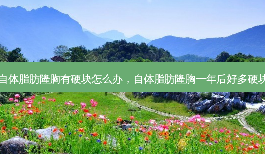 自体脂肪隆胸有硬块怎么办,自体脂肪隆胸一年后好多硬块-第1张图片-美呗严选网 自体脂肪隆胸有硬块怎么办,自体脂肪隆胸一年后好多硬块-第1张图片-美呗严选网