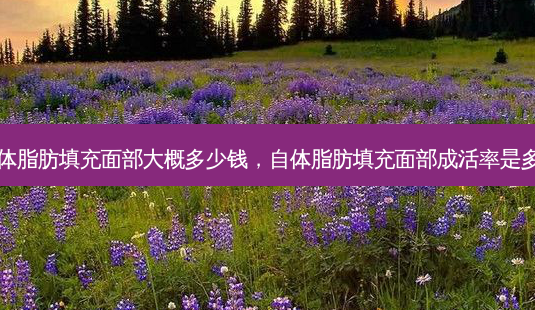 自体脂肪填充面部大概多少钱,自体脂肪填充面部成活率是多少-第1张图片-美呗严选网 自体脂肪填充面部大概多少钱,自体脂肪填充面部成活率是多少-第1张图片-美呗严选网