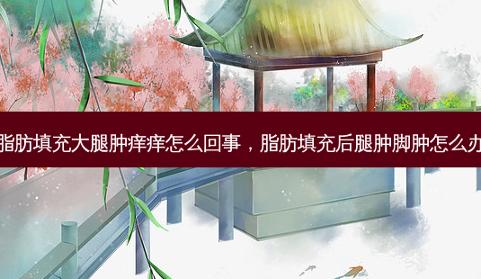 脂肪填充大腿肿痒痒怎么回事,脂肪填充后腿肿脚肿怎么办-第1张图片-美呗严选网 脂肪填充大腿肿痒痒怎么回事,脂肪填充后腿肿脚肿怎么办-第1张图片-美呗严选网