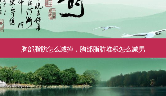 胸部脂肪怎么减掉,胸部脂肪堆积怎么减男-第1张图片-美呗严选网 胸部脂肪怎么减掉,胸部脂肪堆积怎么减男-第1张图片-美呗严选网