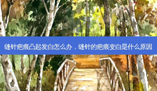 缝针疤痕凸起发白怎么办,缝针的疤痕变白是什么原因-第1张图片-美呗严选网 缝针疤痕凸起发白怎么办,缝针的疤痕变白是什么原因-第1张图片-美呗严选网