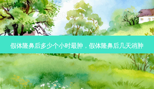 假体隆鼻后多少个小时最肿,假体隆鼻后几天消肿-第1张图片-美呗严选网 假体隆鼻后多少个小时最肿,假体隆鼻后几天消肿-第1张图片-美呗严选网