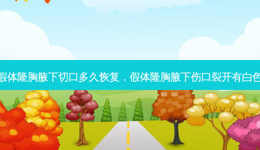假体隆胸腋下切口多久恢复,假体隆胸腋下伤口裂开有白色-第1张图片-美呗严选网 假体隆胸腋下切口多久恢复,假体隆胸腋下伤口裂开有白色-第1张图片-美呗严选网