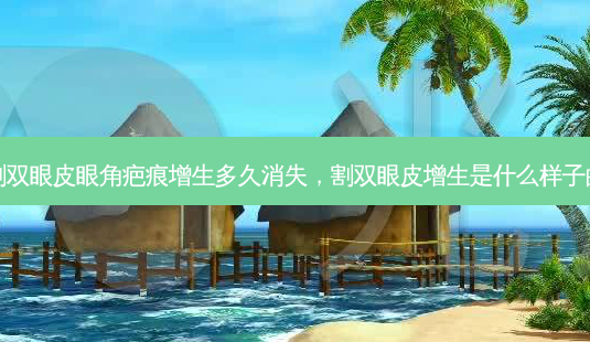 割双眼皮眼角疤痕增生多久消失,割双眼皮增生是什么样子的-第1张图片-美呗严选网 割双眼皮眼角疤痕增生多久消失,割双眼皮增生是什么样子的-第1张图片-美呗严选网