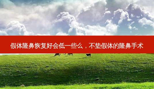 假体隆鼻恢复好会低一些么,不垫假体的隆鼻手术-第1张图片-美呗严选网 假体隆鼻恢复好会低一些么,不垫假体的隆鼻手术-第1张图片-美呗严选网
