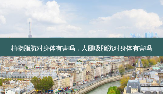 植物脂肪对身体有害吗,大腿吸脂肪对身体有害吗-第1张图片-美呗严选网 植物脂肪对身体有害吗,大腿吸脂肪对身体有害吗-第1张图片-美呗严选网