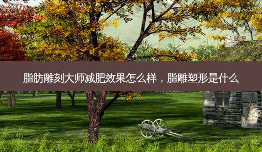 脂肪雕刻大师减肥效果怎么样,脂雕塑形是什么-第1张图片-美呗严选网 脂肪雕刻大师减肥效果怎么样,脂雕塑形是什么-第1张图片-美呗严选网