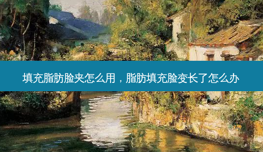 填充脂肪脸夹怎么用,脂肪填充脸变长了怎么办-第1张图片-美呗严选网 填充脂肪脸夹怎么用,脂肪填充脸变长了怎么办-第1张图片-美呗严选网