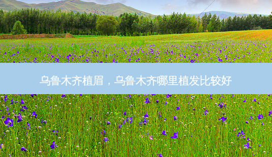 乌鲁木齐植眉,乌鲁木齐哪里植发比较好-第1张图片-美呗严选网 乌鲁木齐植眉,乌鲁木齐哪里植发比较好-第1张图片-美呗严选网