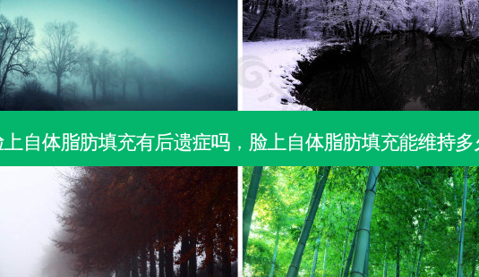 脸上自体脂肪填充有后遗症吗,脸上自体脂肪填充能维持多久-第1张图片-美呗严选网 脸上自体脂肪填充有后遗症吗,脸上自体脂肪填充能维持多久-第1张图片-美呗严选网