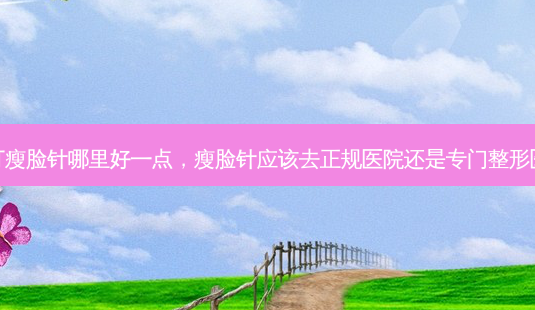 整容打瘦脸针哪里好一点,瘦脸针应该去正规医院还是专门整形医院好-第1张图片-美呗严选网 整容打瘦脸针哪里好一点,瘦脸针应该去正规医院还是专门整形医院好-第1张图片-美呗严选网