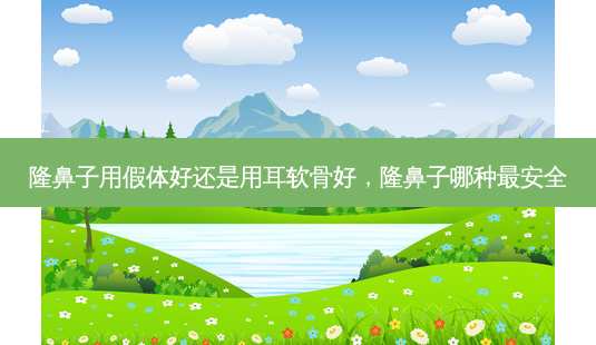 隆鼻子用假体好还是用耳软骨好,隆鼻子哪种最 *** -第1张图片-美呗严选网 隆鼻子用假体好还是用耳软骨好,隆鼻子哪种最 *** -第1张图片-美呗严选网