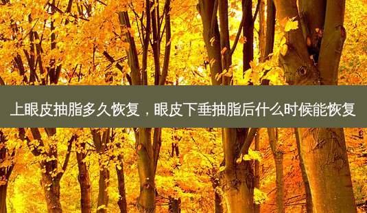 上眼皮抽脂多久恢复,眼皮下垂抽脂后什么时候能恢复-第1张图片-美呗严选网 上眼皮抽脂多久恢复,眼皮下垂抽脂后什么时候能恢复-第1张图片-美呗严选网