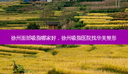 徐州面部吸脂哪家好,徐州吸脂医院找华美整形-第1张图片-美呗严选网 徐州面部吸脂哪家好,徐州吸脂医院找华美整形-第1张图片-美呗严选网