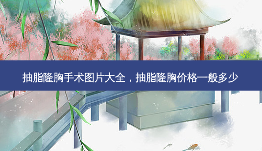 抽脂隆胸手术图片大全,抽脂隆胸价格一般多少-第1张图片-美呗严选网 抽脂隆胸手术图片大全,抽脂隆胸价格一般多少-第1张图片-美呗严选网