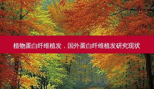 植物蛋白纤维植发,国外蛋白纤维植发研究现状-第1张图片-美呗严选网 植物蛋白纤维植发,国外蛋白纤维植发研究现状-第1张图片-美呗严选网