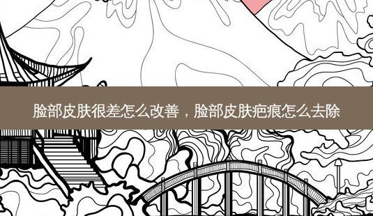 脸部皮肤很差怎么改善,脸部皮肤疤痕怎么去除-第1张图片-美呗严选网 脸部皮肤很差怎么改善,脸部皮肤疤痕怎么去除-第1张图片-美呗严选网