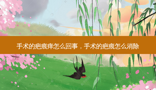 手术的疤痕痒怎么回事,手术的疤痕怎么消除-第1张图片-美呗严选网 手术的疤痕痒怎么回事,手术的疤痕怎么消除-第1张图片-美呗严选网