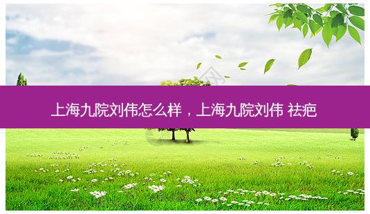 上海九院刘伟怎么样,上海九院刘伟 祛疤-第1张图片-美呗严选网 上海九院刘伟怎么样,上海九院刘伟 祛疤-第1张图片-美呗严选网