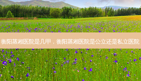 衡阳蒸湘医院是几甲,衡阳蒸湘医院是公立还是私立医院-第1张图片-美呗严选网 衡阳蒸湘医院是几甲,衡阳蒸湘医院是公立还是私立医院-第1张图片-美呗严选网