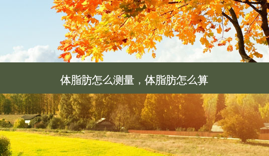 体脂肪怎么测量,体脂肪怎么算-第1张图片-美呗严选网 体脂肪怎么测量,体脂肪怎么算-第1张图片-美呗严选网