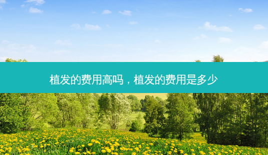 植发的费用高吗,植发的费用是多少-第1张图片-美呗严选网 植发的费用高吗,植发的费用是多少-第1张图片-美呗严选网