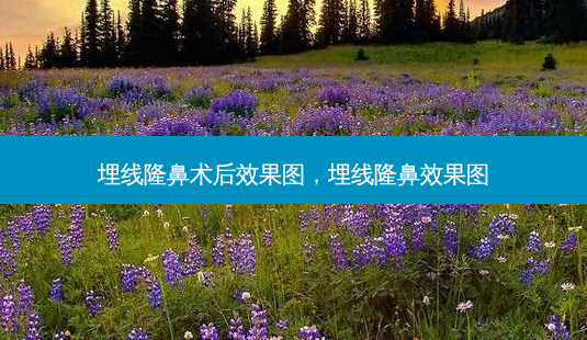 埋线隆鼻术后效果图,埋线隆鼻效果图-第1张图片-美呗严选网 埋线隆鼻术后效果图,埋线隆鼻效果图-第1张图片-美呗严选网