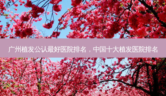 广州植发公认 *** 医院排名,中国十大植发医院排名-第1张图片-美呗严选网 广州植发公认 *** 医院排名,中国十大植发医院排名-第1张图片-美呗严选网