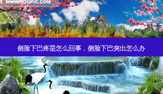 侧脸下巴疼是怎么回事,侧脸下巴突出怎么办-第1张图片-美呗严选网 侧脸下巴疼是怎么回事,侧脸下巴突出怎么办-第1张图片-美呗严选网