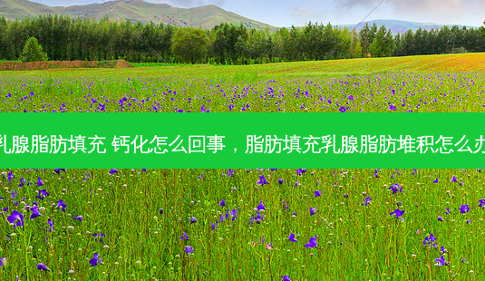 乳腺脂肪填充 钙化怎么回事,脂肪填充乳腺脂肪堆积怎么办-第1张图片-美呗严选网 乳腺脂肪填充 钙化怎么回事,脂肪填充乳腺脂肪堆积怎么办-第1张图片-美呗严选网