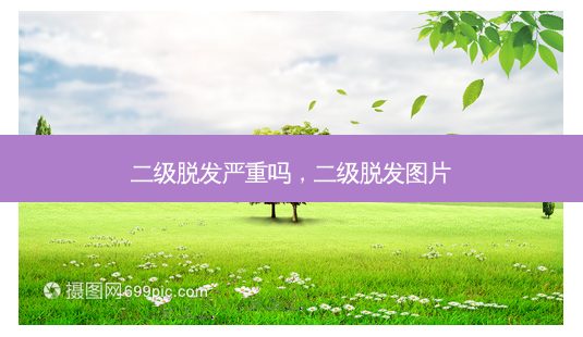 二级脱发严重吗,二级脱发图片-第1张图片-美呗严选网 二级脱发严重吗,二级脱发图片-第1张图片-美呗严选网