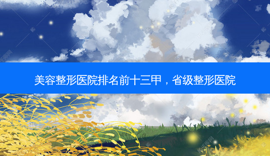 美容整形医院排名前十三甲,省级整形医院-第1张图片-美呗严选网 美容整形医院排名前十三甲,省级整形医院-第1张图片-美呗严选网