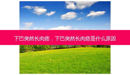 下巴突然长肉痣,下巴突然长肉痣是什么原因-第1张图片-美呗严选网 下巴突然长肉痣,下巴突然长肉痣是什么原因-第1张图片-美呗严选网