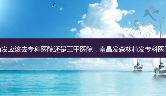 植发应该去专科医院还是三甲医院,南昌发森林植发专科医院-第1张图片-美呗严选网 植发应该去专科医院还是三甲医院,南昌发森林植发专科医院-第1张图片-美呗严选网