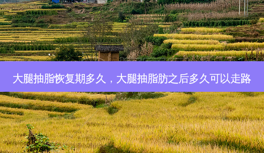 大腿抽脂恢复期多久,大腿抽脂肪之后多久可以走路-第1张图片-美呗严选网 大腿抽脂恢复期多久,大腿抽脂肪之后多久可以走路-第1张图片-美呗严选网