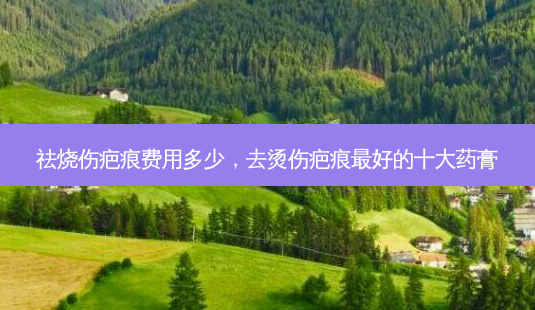 祛烧伤疤痕费用多少,去烫伤疤痕 *** 的十大药膏-第1张图片-美呗严选网 祛烧伤疤痕费用多少,去烫伤疤痕 *** 的十大药膏-第1张图片-美呗严选网
