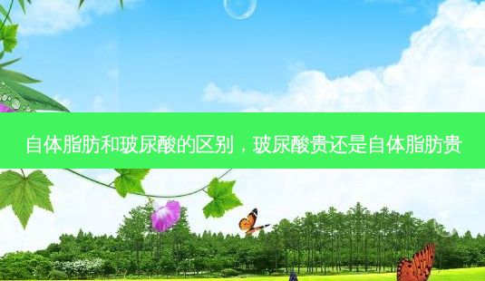 自体脂肪和玻尿酸的区别,玻尿酸贵还是自体脂肪贵-第1张图片-美呗严选网 自体脂肪和玻尿酸的区别,玻尿酸贵还是自体脂肪贵-第1张图片-美呗严选网