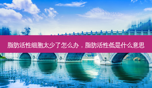 脂肪活性细胞太少了怎么办,脂肪活性低是什么意思-第1张图片-美呗严选网 脂肪活性细胞太少了怎么办,脂肪活性低是什么意思-第1张图片-美呗严选网