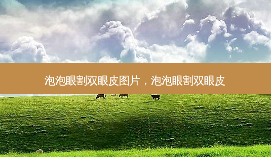 泡泡眼割双眼皮图片,泡泡眼割双眼皮-第1张图片-美呗严选网 泡泡眼割双眼皮图片,泡泡眼割双眼皮-第1张图片-美呗严选网
