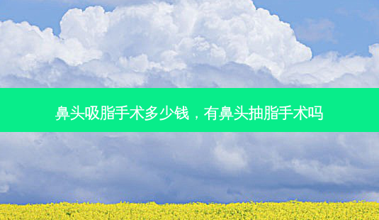 鼻头吸脂手术多少钱,有鼻头抽脂手术吗-第1张图片-美呗严选网 鼻头吸脂手术多少钱,有鼻头抽脂手术吗-第1张图片-美呗严选网