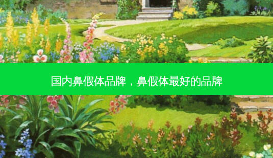 国内鼻假体品牌,鼻假体 *** 的品牌-第1张图片-美呗严选网 国内鼻假体品牌,鼻假体 *** 的品牌-第1张图片-美呗严选网